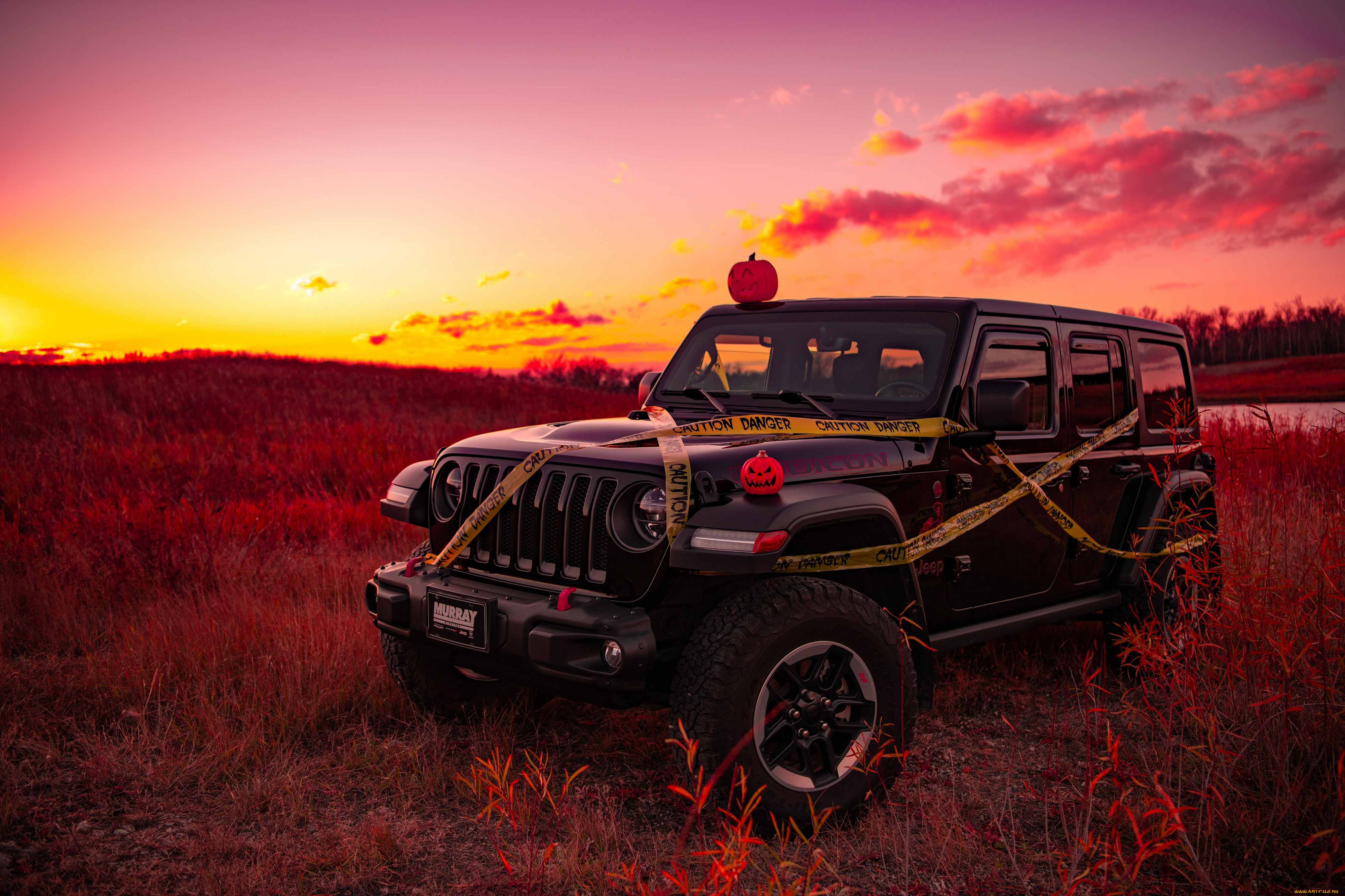 , jeep, 
